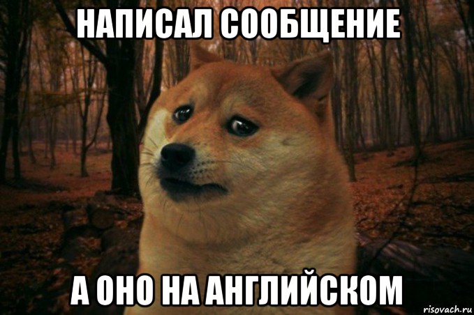 написал сообщение а оно на английском, Мем SAD DOGE