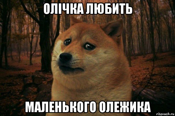 олічка любить маленького олежика, Мем SAD DOGE