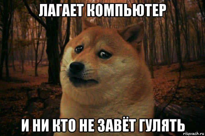 лагает компьютер и ни кто не завёт гулять, Мем SAD DOGE