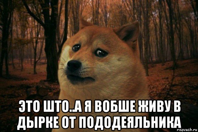  это што..а я вобше живу в дырке от пододеяльника, Мем SAD DOGE