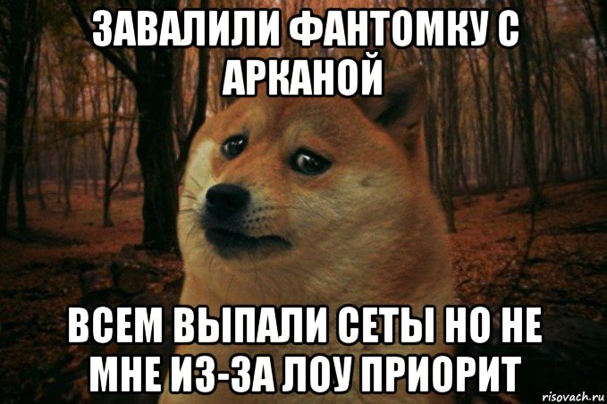 завалили фантомку с арканой всем выпали сеты но не мне из-за лоу приорит, Мем SAD DOGE