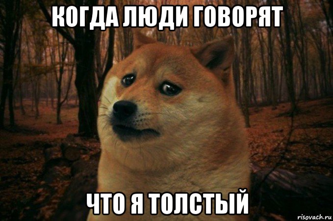 когда люди говорят что я толстый, Мем SAD DOGE