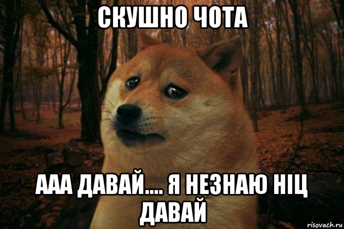 скушно чота ааа давай.... я незнаю ніц давай, Мем SAD DOGE