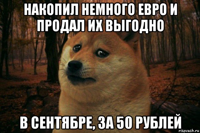 накопил немного евро и продал их выгодно в сентябре, за 50 рублей, Мем SAD DOGE