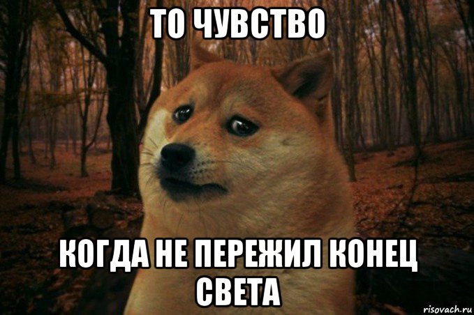 то чувство когда не пережил конец света, Мем SAD DOGE