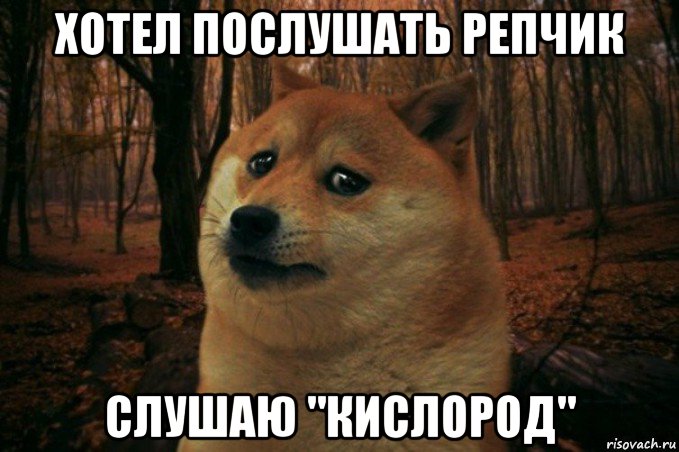 хотел послушать репчик слушаю "кислород", Мем SAD DOGE