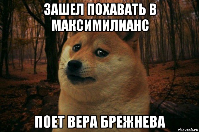 зашел похавать в максимилианс поет вера брежнева, Мем SAD DOGE