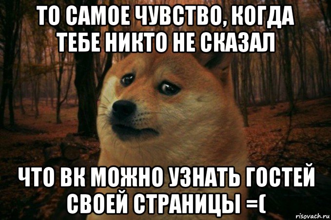 то самое чувство, когда тебе никто не сказал что вк можно узнать гостей своей страницы =(, Мем SAD DOGE