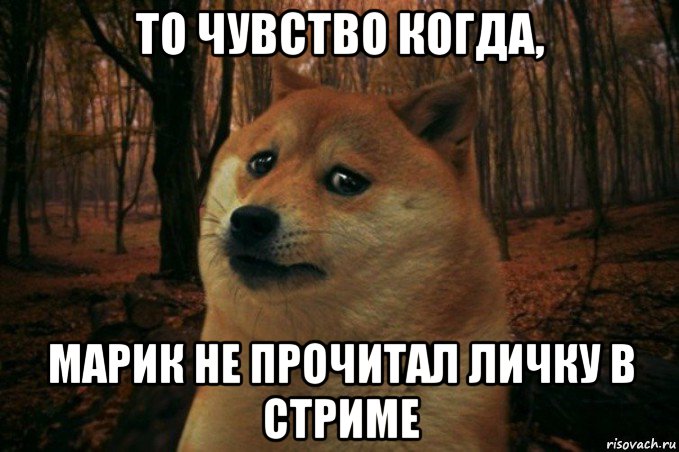 то чувство когда, марик не прочитал личку в стриме, Мем SAD DOGE