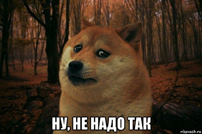  ну, не надо так, Мем SAD DOGE