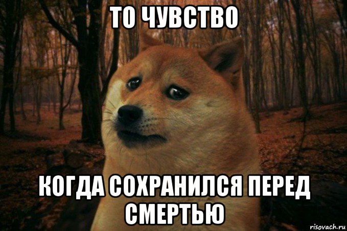 то чувство когда сохранился перед смертью, Мем SAD DOGE