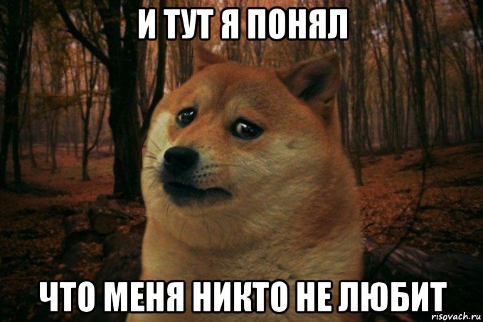 и тут я понял что меня никто не любит, Мем SAD DOGE