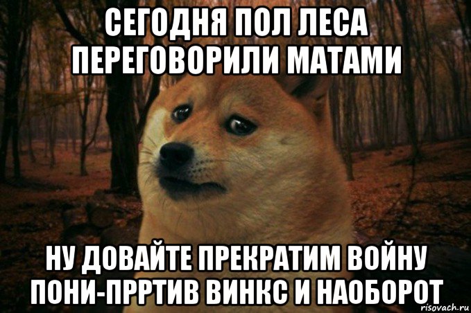 сегодня пол леса переговорили матами ну довайте прекратим войну пони-прртив винкс и наоборот, Мем SAD DOGE