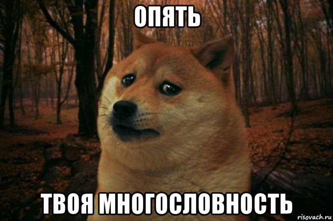 опять твоя многословность, Мем SAD DOGE