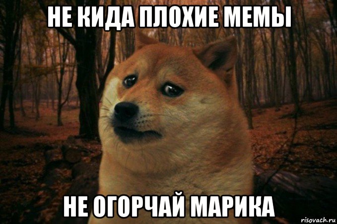 не кида плохие мемы не огорчай марика, Мем SAD DOGE