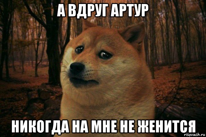 а вдруг артур никогда на мне не женится, Мем SAD DOGE