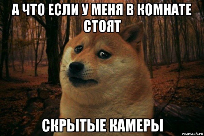 а что если у меня в комнате стоят скрытые камеры, Мем SAD DOGE