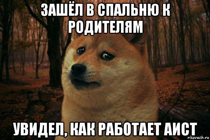 зашёл в спальню к родителям увидел, как работает аист, Мем SAD DOGE