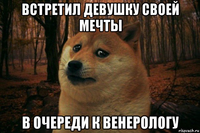 встретил девушку своей мечты в очереди к венерологу, Мем SAD DOGE