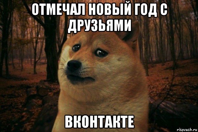 отмечал новый год с друзьями вконтакте, Мем SAD DOGE