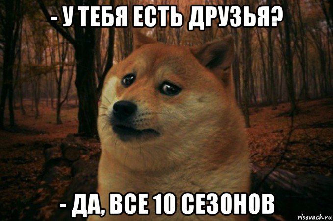 - у тебя есть друзья? - да, все 10 сезонов, Мем SAD DOGE