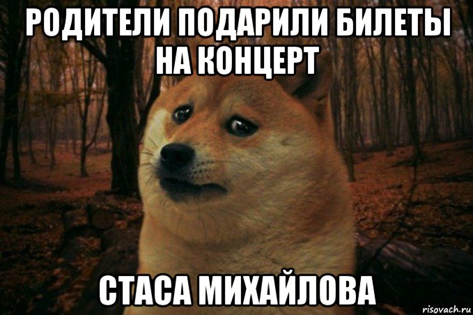 родители подарили билеты на концерт стаса михайлова, Мем SAD DOGE