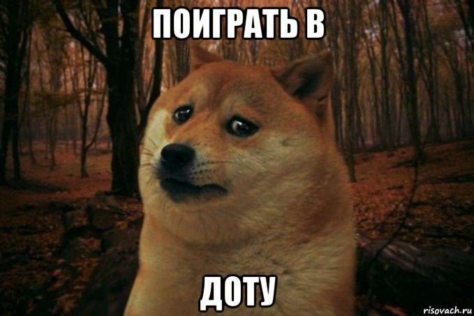 поиграть в доту, Мем SAD DOGE