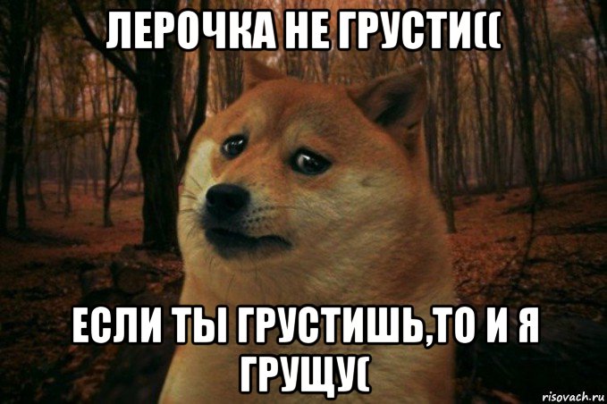 лерочка не грусти(( если ты грустишь,то и я грущу(, Мем SAD DOGE