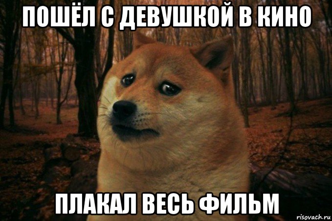 пошёл с девушкой в кино плакал весь фильм, Мем SAD DOGE