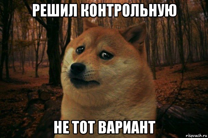 решил контрольную не тот вариант, Мем SAD DOGE