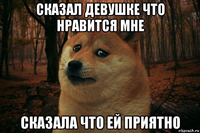 сказал девушке что нравится мне сказала что ей приятно, Мем SAD DOGE