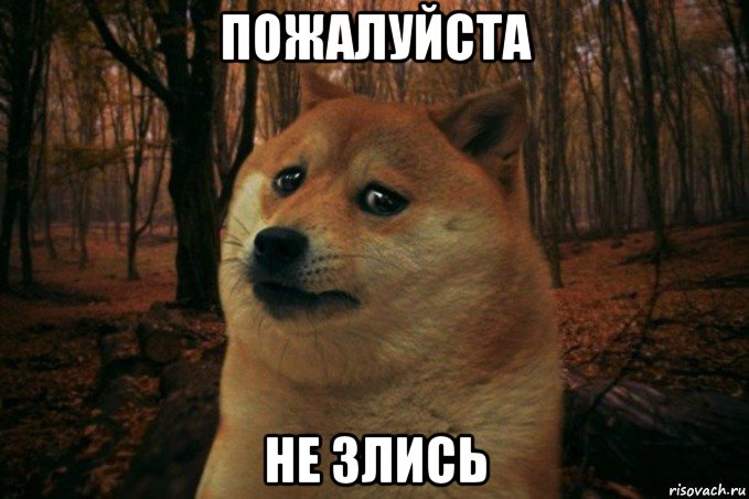 пожалуйста не злись, Мем SAD DOGE