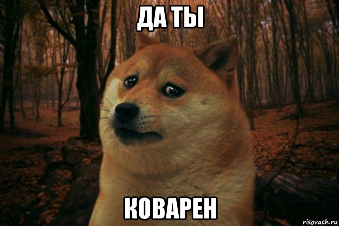 да ты коварен, Мем SAD DOGE