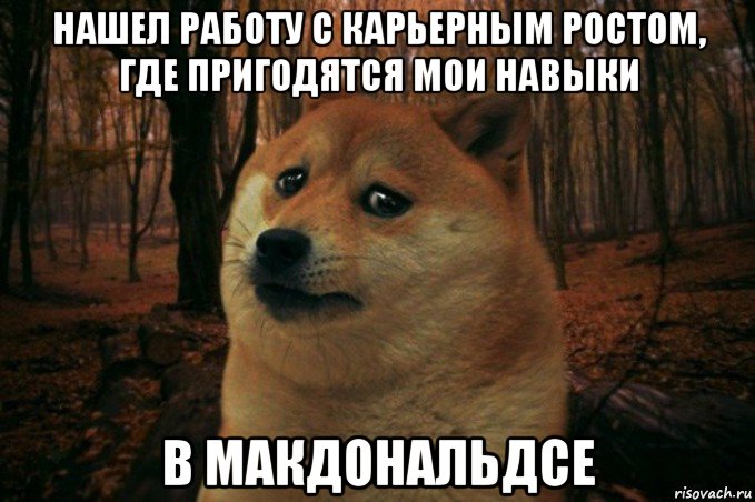 нашел работу с карьерным ростом, где пригодятся мои навыки в макдональдсе, Мем SAD DOGE