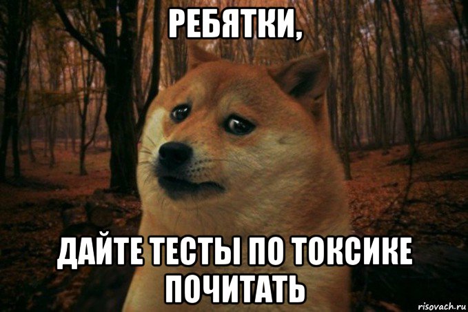 ребятки, дайте тесты по токсике почитать, Мем SAD DOGE