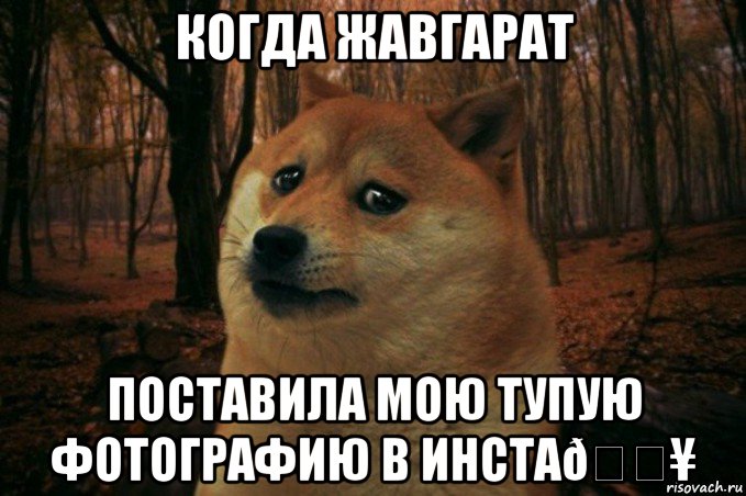 Мем SAD DOGE