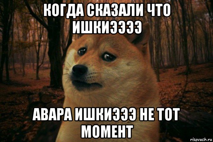 когда сказали что ишкиээээ авара ишкиэээ не тот момент, Мем SAD DOGE