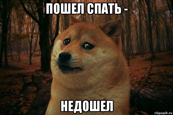 пошел спать - недошел, Мем SAD DOGE