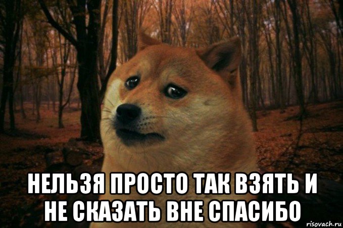  нельзя просто так взять и не сказать вне спасибо, Мем SAD DOGE