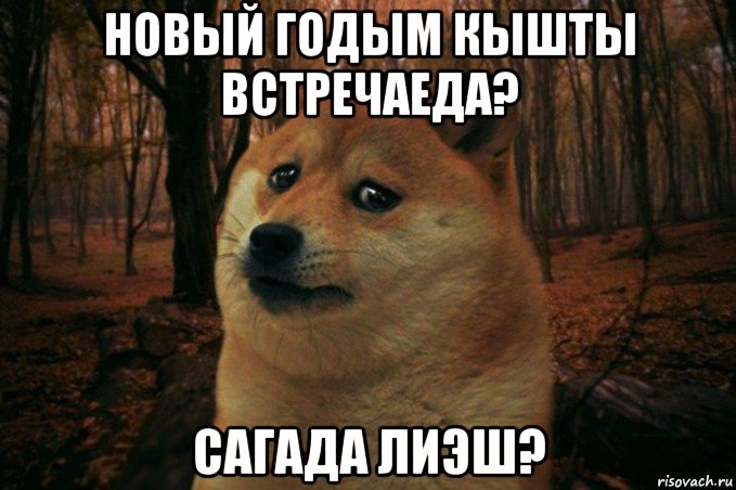 новый годым кышты встречаеда? сагада лиэш?, Мем SAD DOGE