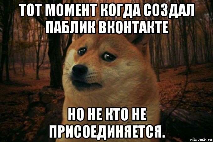 тот момент когда создал паблик вконтакте но не кто не присоединяется., Мем SAD DOGE