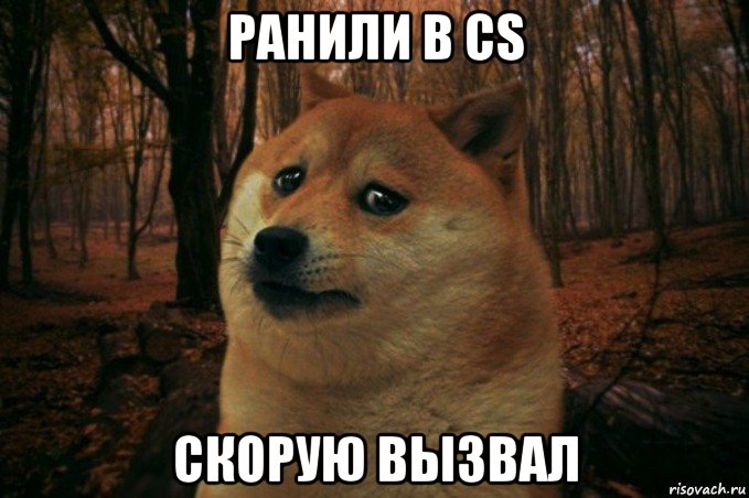 ранили в cs скорую вызвал, Мем SAD DOGE