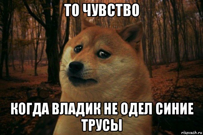 то чувство когда владик не одел синие трусы, Мем SAD DOGE