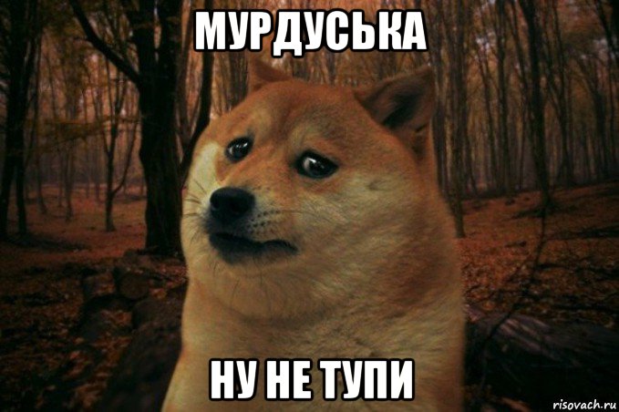 мурдуська ну не тупи, Мем SAD DOGE