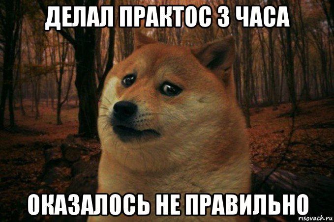 делал практос 3 часа оказалось не правильно, Мем SAD DOGE