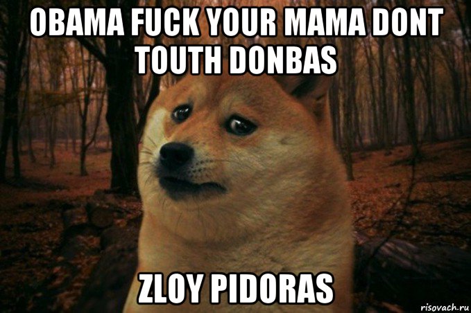 obama fuck your mama dont touth donbas zloy pidoras, Мем SAD DOGE