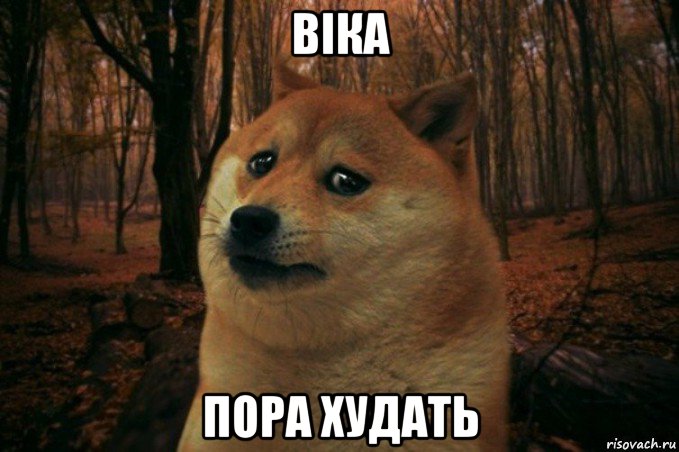 віка пора худать, Мем SAD DOGE