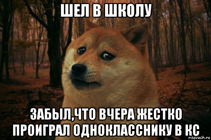 шел в школу забыл,что вчера жестко проиграл однокласснику в кс, Мем SAD DOGE