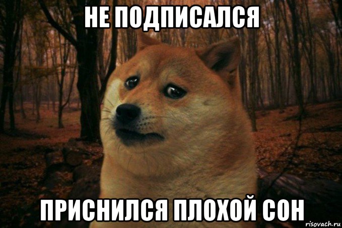 не подписался приснился плохой сон, Мем SAD DOGE