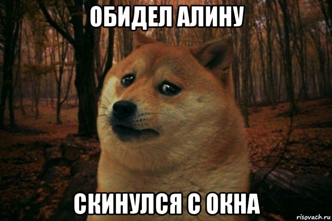 обидел алину скинулся с окна, Мем SAD DOGE